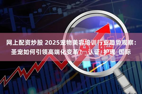网上配资炒股 2025宠物美容培训行业趋势观察：圣宠如何引领高端化变革？_认证_护理_国际